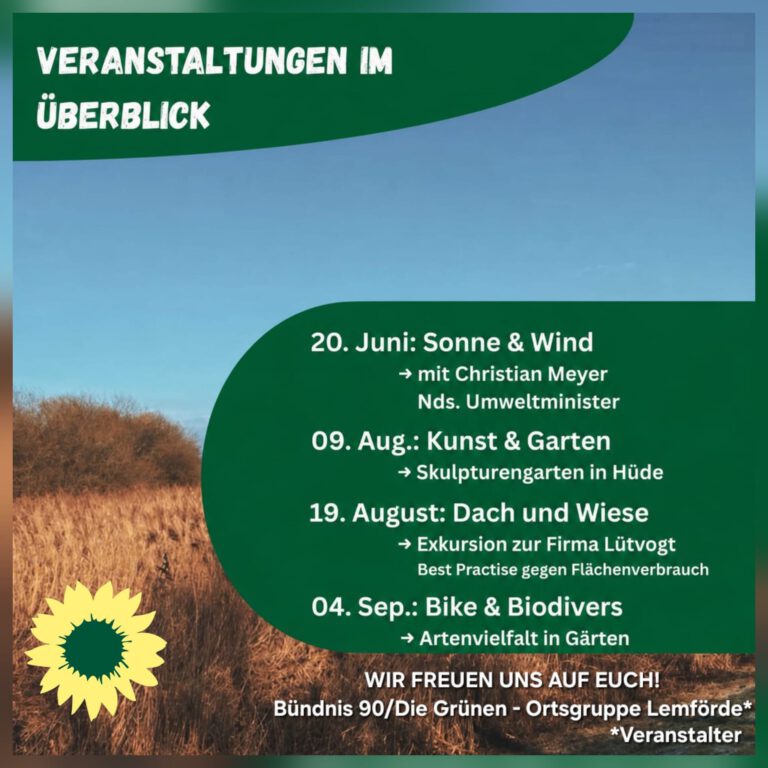 Wind und Kunst – Dach und Bike